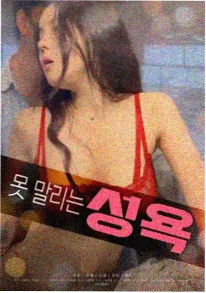 小姐 韩国经典剧情悬疑电影海报