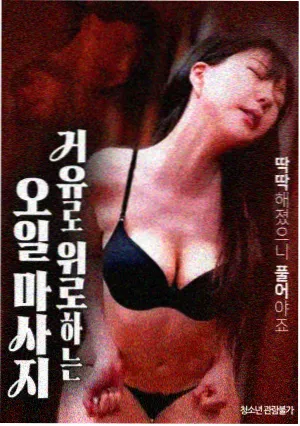 诗 韩国经典剧情电影海报